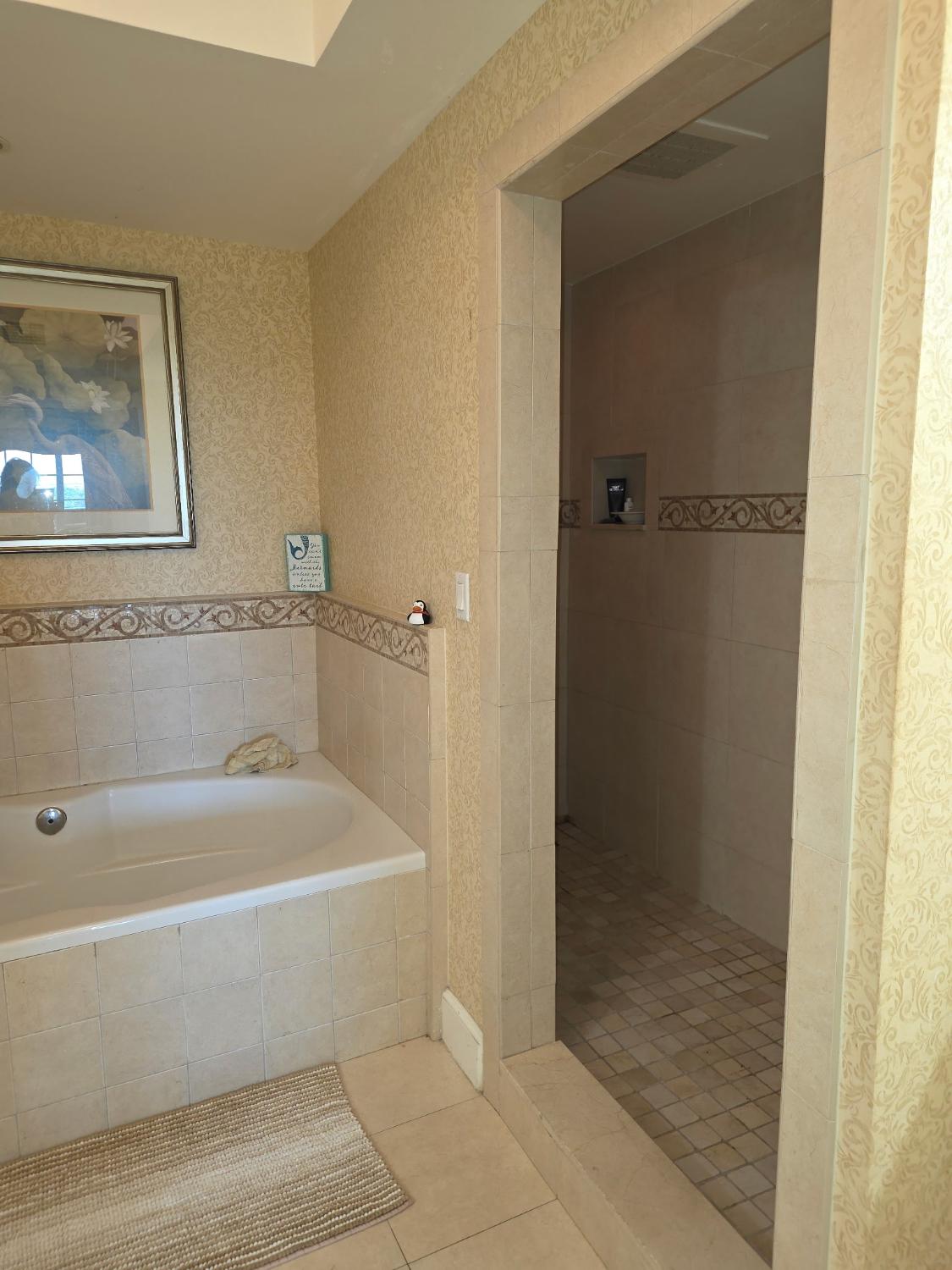 Before, Roll-in shower in Reunion